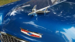 Second Harvest Hosts First Annual Car Show